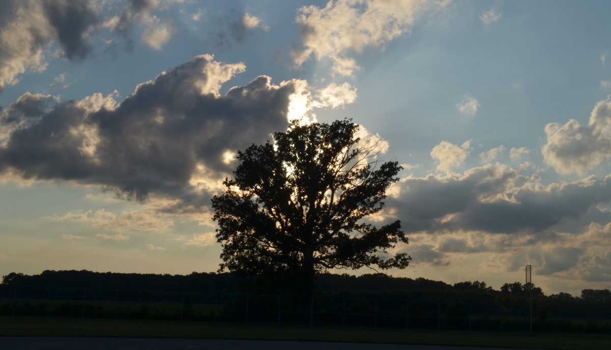 DSd_0115.jpg